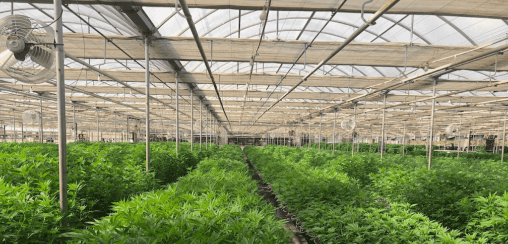 VaporSafe® Used to Evaluate and Optimize Odor Mitigation Systems